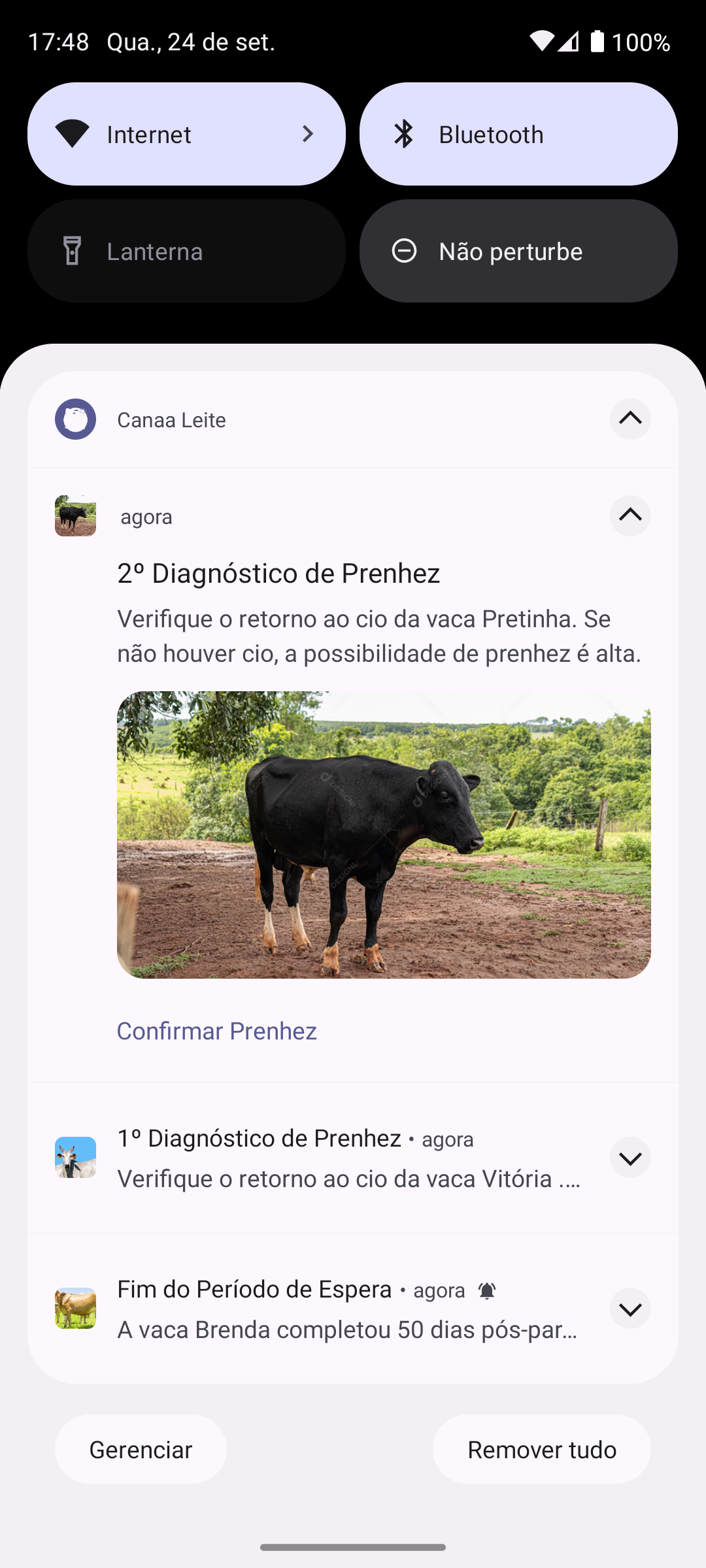 Notificações de Alertas